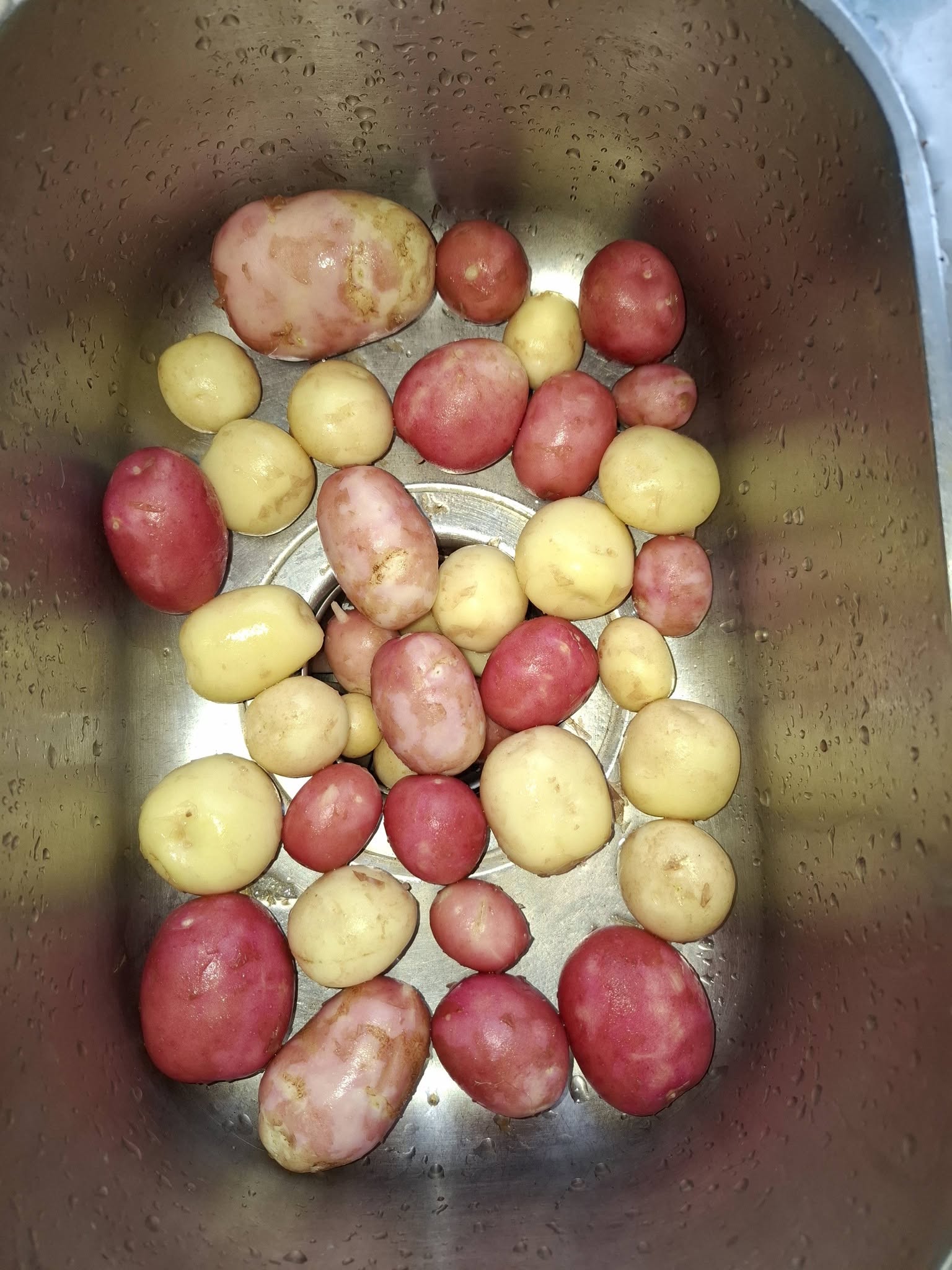 Vasket potet i kummen, klar for salg